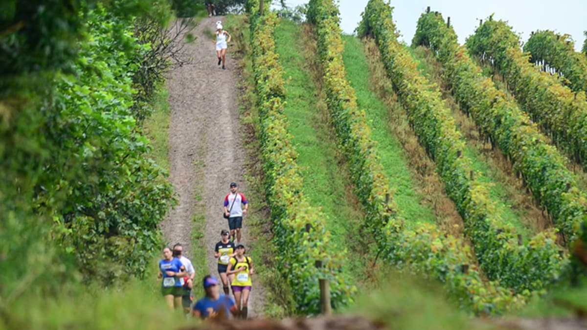 Maratona dos Vinhedos - 6ª Etapa Trilhas e Montanhas 2021
